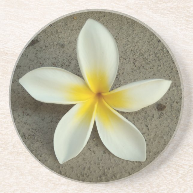 Porta-copos De Arenito Plumeria hawaii portas copos (Frente)
