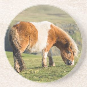 Porta-copos De Arenito Pônei Shetland em Pastagem Perto de Falésias Altas