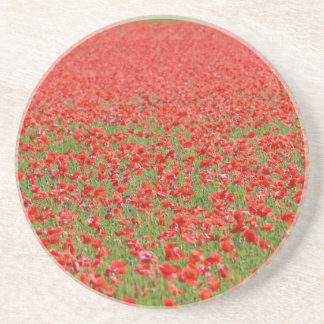 Porta-copos De Arenito Poppies - milhares!