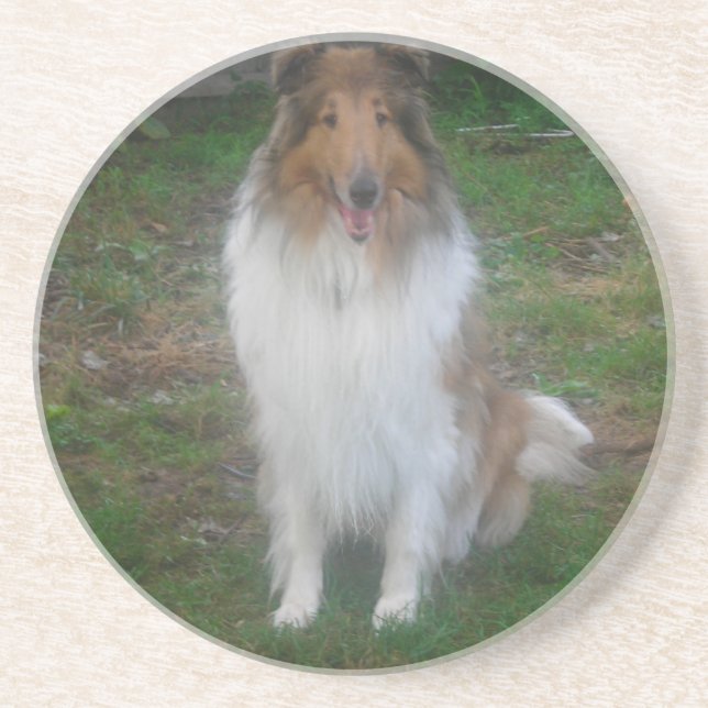 Porta-copos De Arenito Portas copos Collie Sable Rough (Frente)