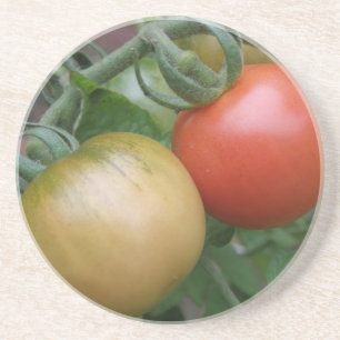 Porta-copos De Arenito Portas copos de tomate laranja e vermelha