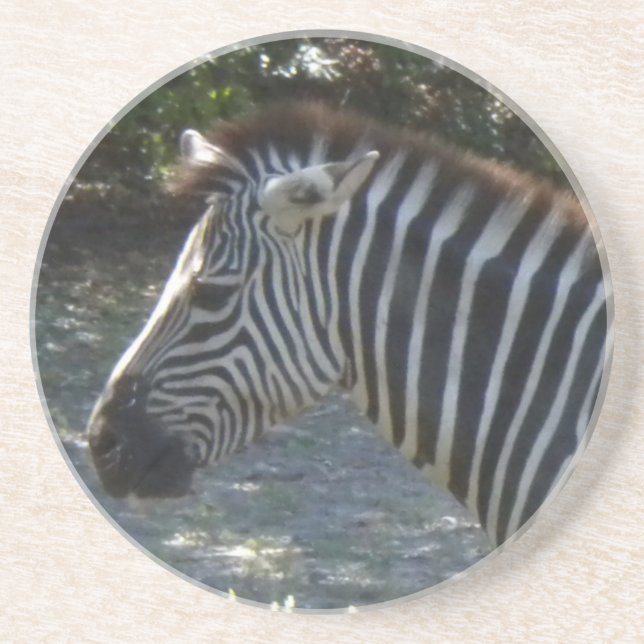 Porta-copos De Arenito Portas copos Zebra (Frente)