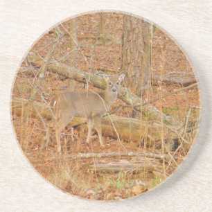 Porta-copos De Arenito Primeiro inverno do Baby Deer