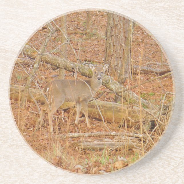 Porta-copos De Arenito Primeiro inverno do Baby Deer (Frente)