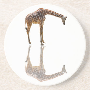 PORTA-COPOS DE ARENITO PROJECTO