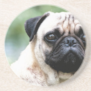 Porta-copos De Arenito Pug