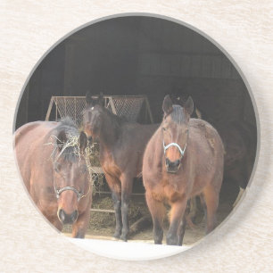 Porta-copos De Arenito Quatro Cavalos