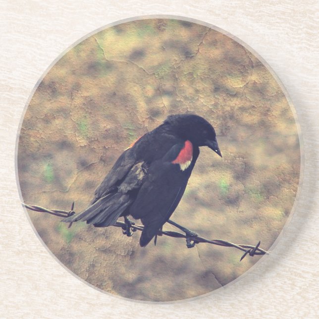 Porta-copos De Arenito Red Winged Blackbird (Frente)