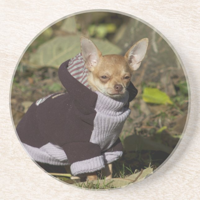 Porta-copos De Arenito Rico Chihuahua (Frente)