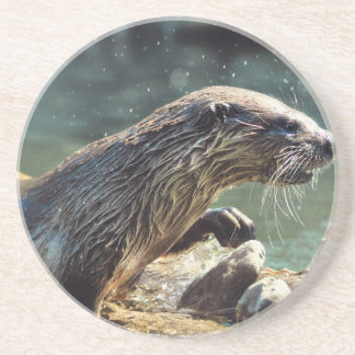 Porta-copos De Arenito Rio Otter Animal-lover Foto da vida selvagem
