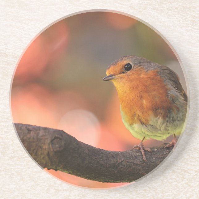 Porta-copos De Arenito Robin em um galho (Frente)