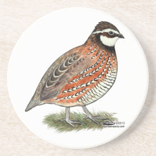 Porta-copos De Arenito Rooster Bobwhite Quail