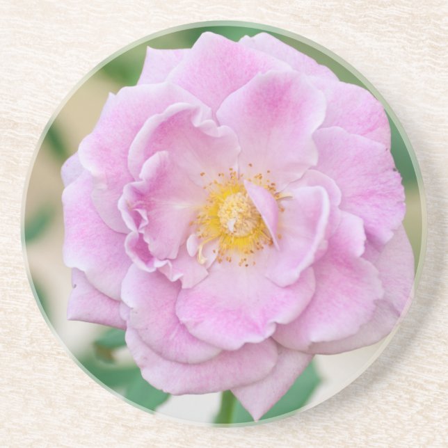Porta-copos De Arenito Rosa Briar (Frente)