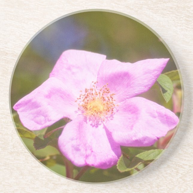 Porta-copos De Arenito Rosa Briar (Frente)