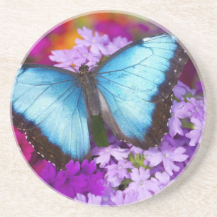 Porta-copos De Arenito Sammamish Washington Borboleta Tropical