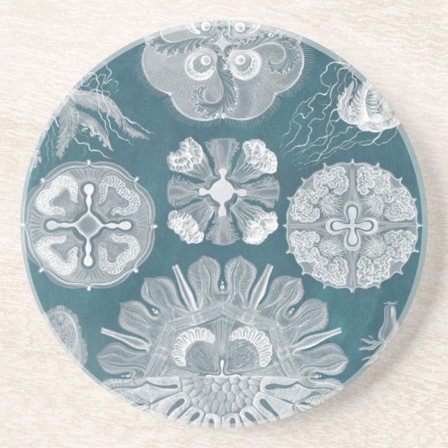 Porta-copos De Arenito Sealife Blueprint IV (Frente)