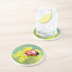 Porta-copos De Arenito senhora no topo