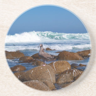 Porta-copos De Arenito Série Animal — Caveira nas Rochas