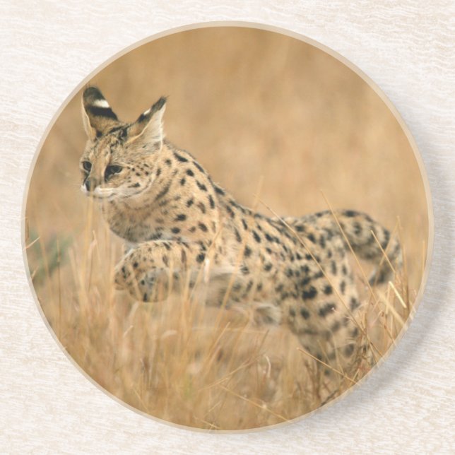 Porta-copos De Arenito Serval (Leptailurus Serval) Saltando (Frente)
