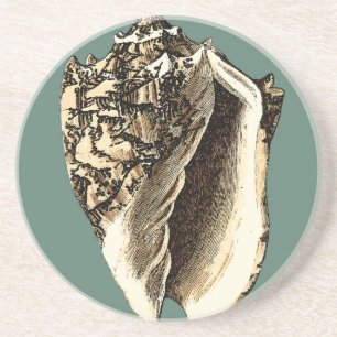 Porta-copos De Arenito Shell de Conch Teal