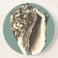Shell Teal Conch