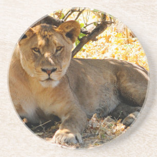 Porta-copos De Arenito Siesta Time