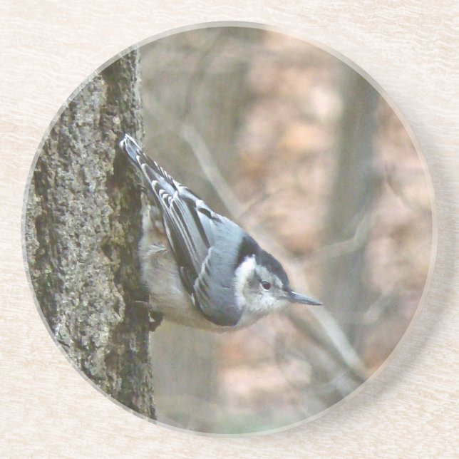 Porta-copos De Arenito Slate Cinza Nuthatch Songbird (Frente)