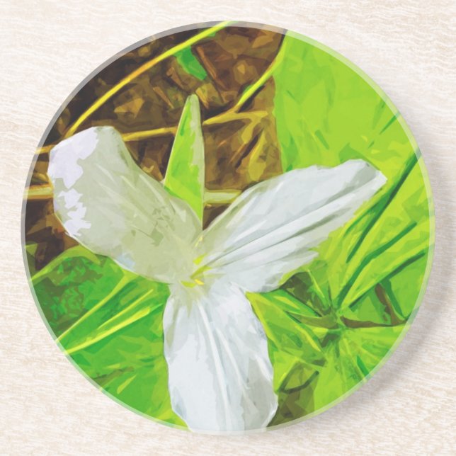 Porta-copos De Arenito Snow Trillium a White Wilflower Abstrato (Frente)