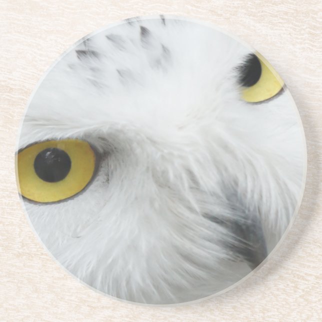 Porta-copos De Arenito Snowy Owl Eyes (Frente)