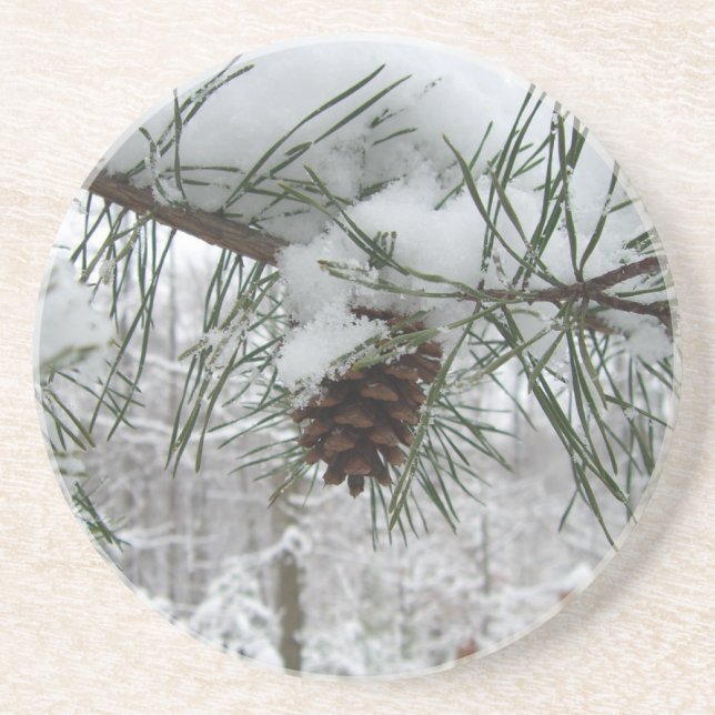 Porta-copos De Arenito Snowy Pine Branch Winter Nature Fotografia (Frente)