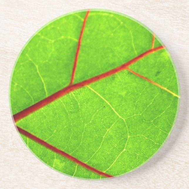 Porta-copos De Arenito St Thomas 1 (Frente)