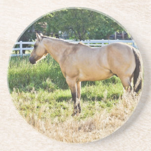 Porta-copos De Arenito Sunlit Dappled Morning