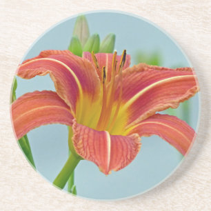 Porta-copos De Arenito Tiger Daylily