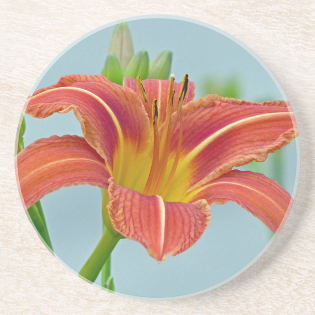 Porta-copos De Arenito Tiger Daylily (Frente)