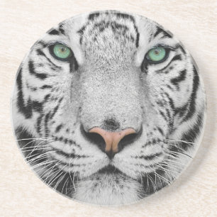 Porta-copos De Arenito Tigre Branco