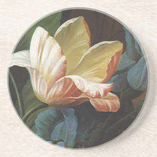 Porta-copos De Arenito Tulipa de Jardim Antiga em Flor, Flores Vitorianas