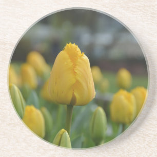 Porta-copos De Arenito Tulipas amarelas no campo