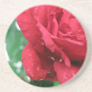 Porta-copos De Arenito Uma Rosa vermelha