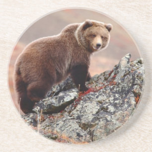 Porta-copos De Arenito Urso de Denali Brown