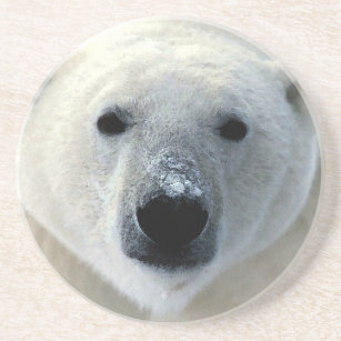 Porta-copos De Arenito Urso Polar