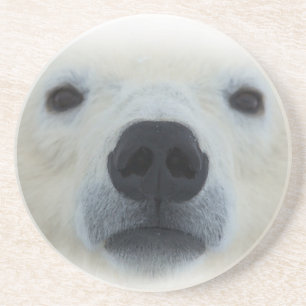 Porta-copos De Arenito Urso Polar