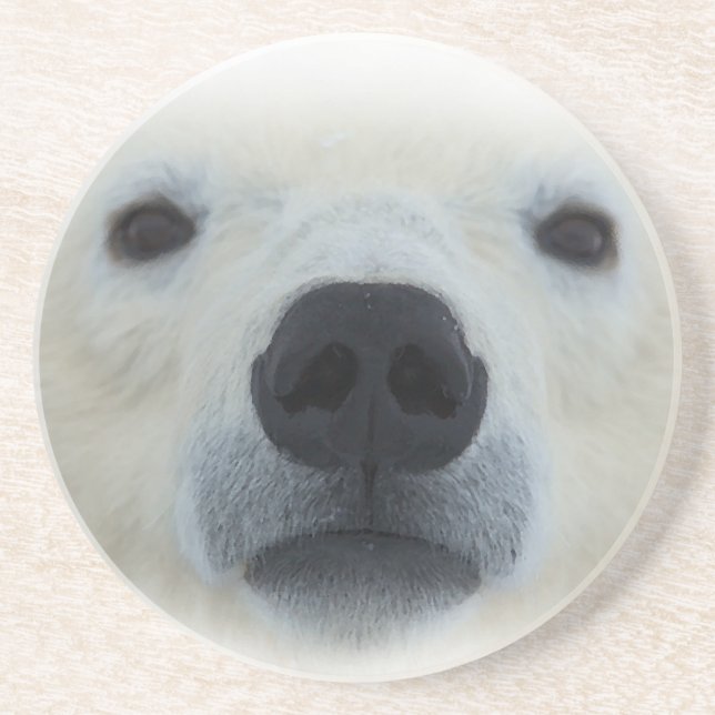 Porta-copos De Arenito Urso Polar (Frente)