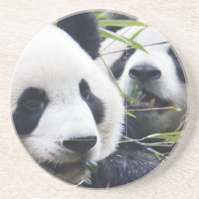 Porta-copos De Arenito Ursos Panda (Frente)
