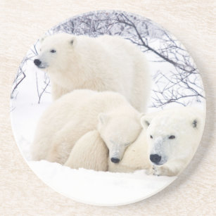 Porta-copos De Arenito Ursos polares fêmeas e dois filhotes 3