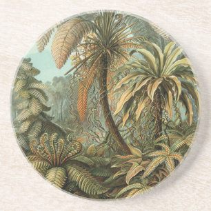 Porta-copos De Arenito Vintage Ferns e Palm Tree Botânico