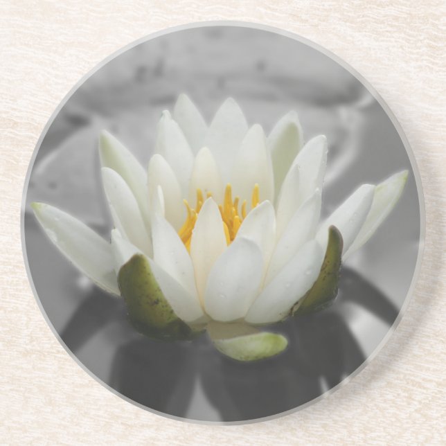 Porta-copos De Arenito Water Lily Floral Coaster (Frente)
