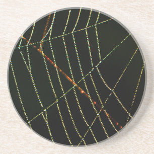 Porta-copos De Arenito Web Spider