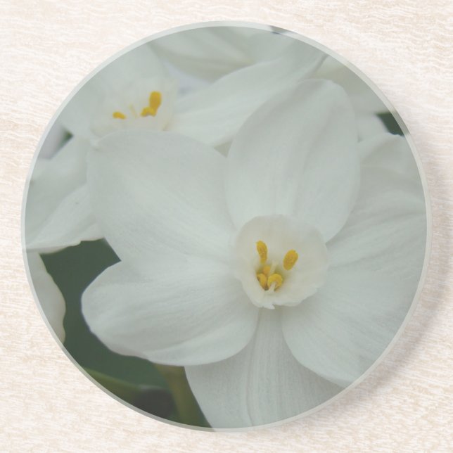Porta-copos De Arenito White Orchid (Frente)