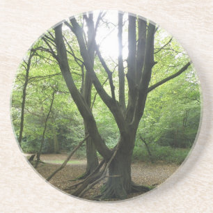 Porta-copos De Arenito Woodland Sunshine Portas copos