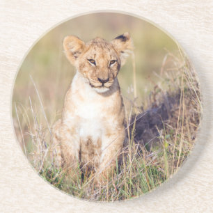 Porta-copos De Arenito Young lion